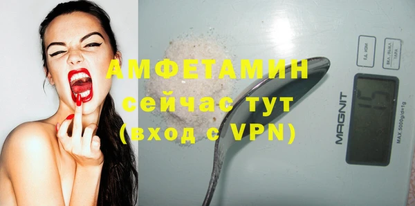 винт Мегион
