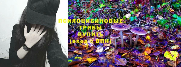герыч Медногорск