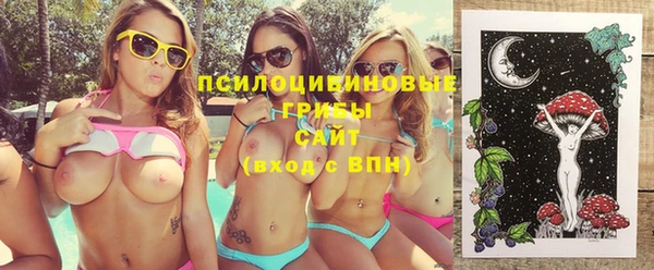 винт Мегион