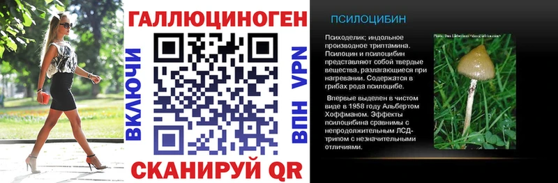 где найти наркотики  Тогучин  KRAKEN маркетплейс  Галлюциногенные грибы Cubensis 